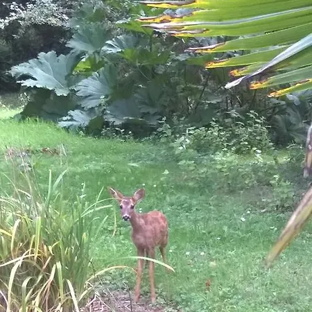 Manoir En Cotentin , Tamerville