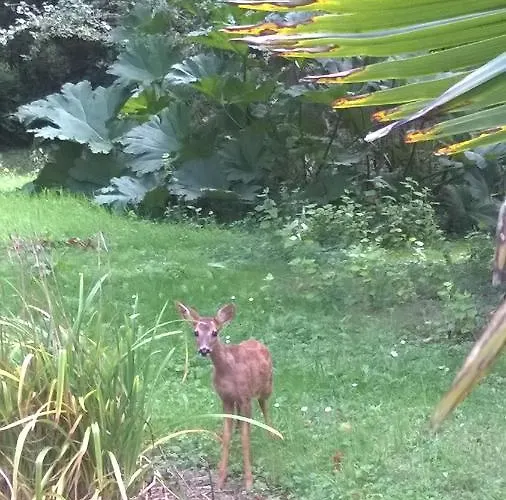 Manoir En Cotentin , Tamerville